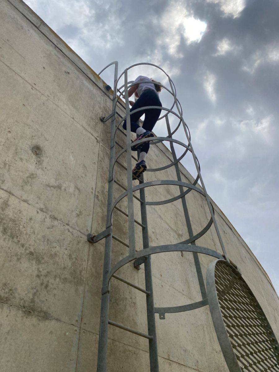 Industrial caged access ladder